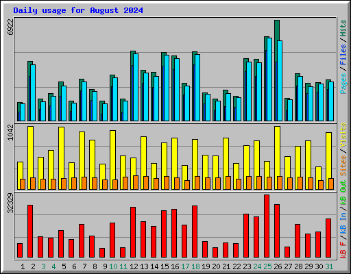 Daily usage for August 2024