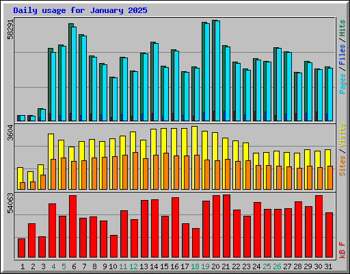 Daily usage for January 2025