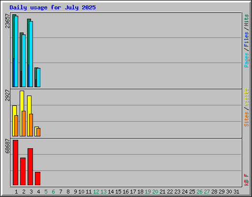 Daily usage for July 2025