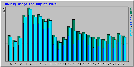 Hourly usage for August 2024