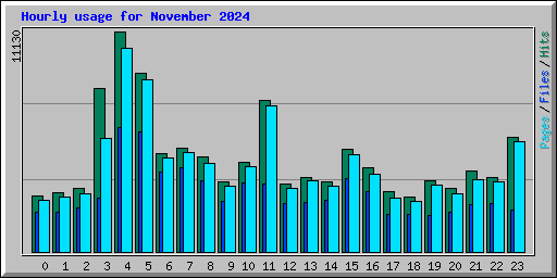Hourly usage for November 2024