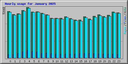Hourly usage for January 2025