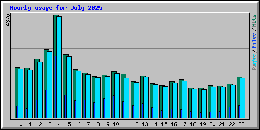 Hourly usage for July 2025