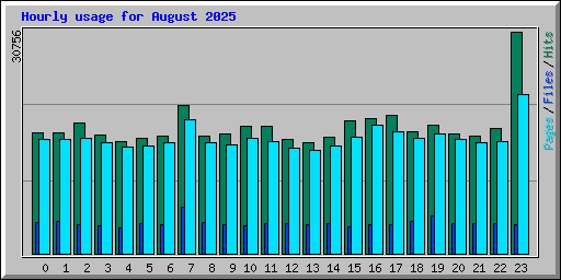 Hourly usage for August 2025