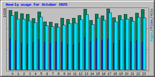 Hourly usage for October 2025