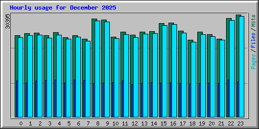 Hourly usage for December 2025
