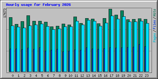 Hourly usage for February 2026