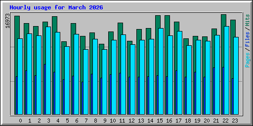 Hourly usage for March 2026