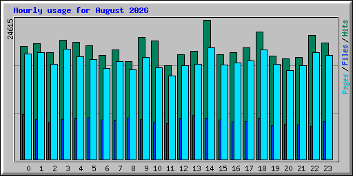 Hourly usage for August 2026